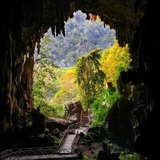 Cueva de las Lechuzas