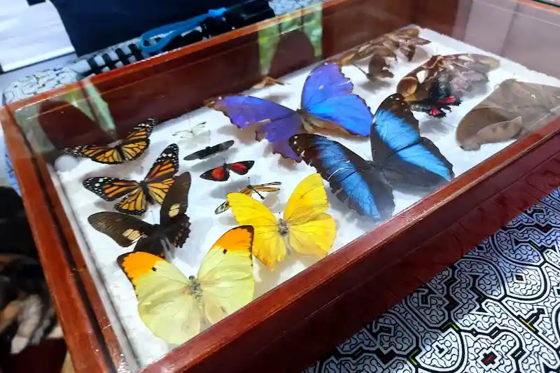 Mariposario